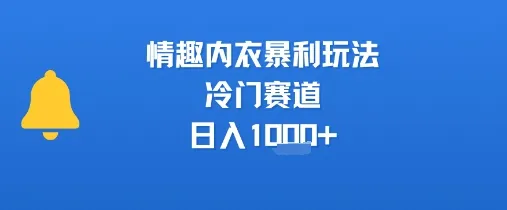 情趣内衣暴利玩法，冷门赛道，日入1k+-网亿资源平台