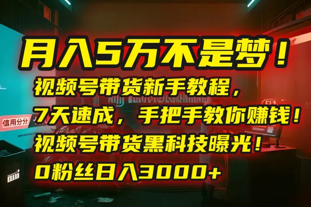 月入5万不是梦！视频号带货新手教程，7天速成，手把手教你赚钱！视频号…-网亿资源平台