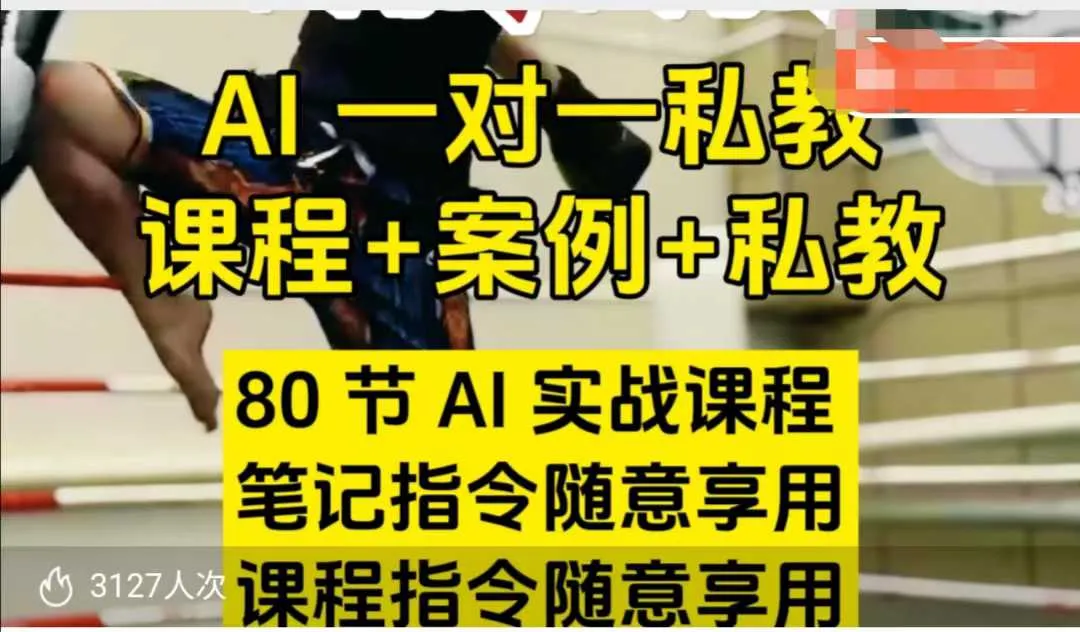AI指令实战课，课程+案例，80节AI实战课程，笔记指令随意享用，课程指令随意享用（更新7月）-网亿资源平台