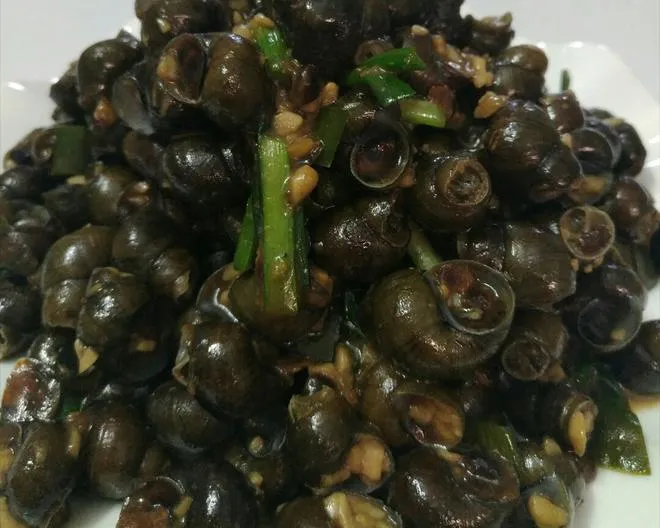 炒田螺 技术配方、实体教程-网亿资源平台