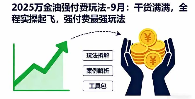 2025万金油强付费玩法-9月：干货满满，全程实操起飞，强付费最强玩法-网亿资源平台