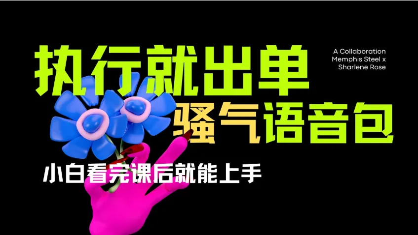 爆火全网的开车导航骚气语音包。只要执行就出单，小白看完课程就能实操，当天收益2000+-网亿资源平台