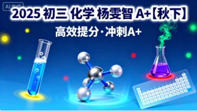 2025 初三 化学 杨雯智 A+【秋下】-网亿资源平台