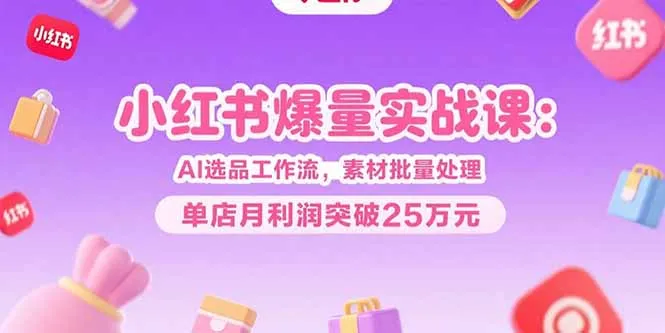 小红书爆量实战课：AI选品工作流，素材批量处理，单店月利润突破25万元-网亿资源平台