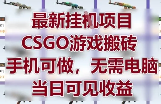 最新挂G项目，CSGO游戏搬砖，手机可做，无需电脑，当日见收益【揭秘】-网亿资源平台