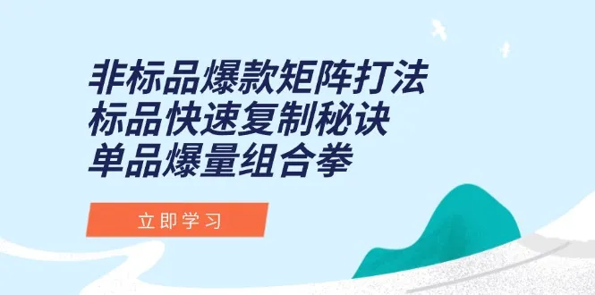 非标品爆款矩阵打法，标品快速复制秘诀，单品爆量组合拳-网亿资源平台