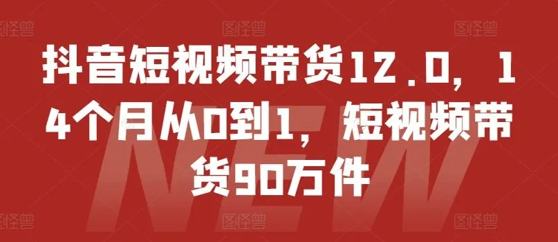 抖音短视频带货12.0，14个月从0到1，短视频带货90万件-网亿资源平台