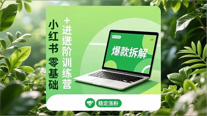 小红书零基础+高阶训练营：安全养号、爆款拆解、长效运营，实现稳定涨粉与变现-网亿资源平台