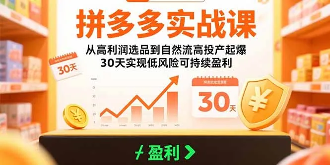 拼多多实战课：从高利润选品到自然流高投产起爆 30天实现低风险可持续盈利-网亿资源平台