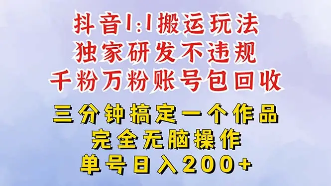 2025抖音无脑纯搬运玩法，单号日赚300+-网亿资源平台