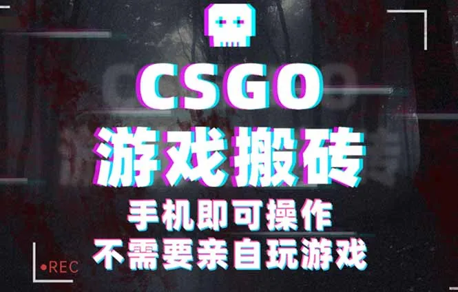CSGO游戏挂机捡漏，单日扫货500+，年底小高峰上车可吃肉，手机即可操作…-网亿资源平台