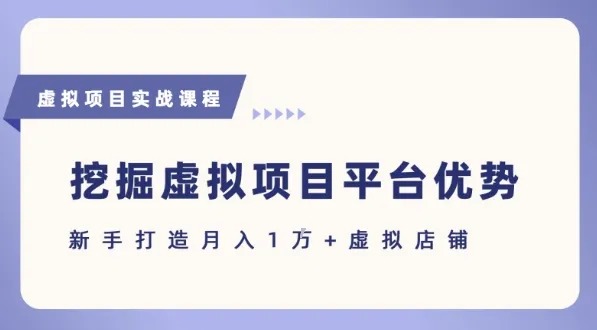 抓住虚拟项目各平台优势，新手轻松月入1W+(给出具体建议)-网亿资源平台