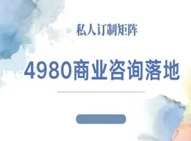 4980商业咨询师落地课程-ip运营高客单教程-网亿资源平台