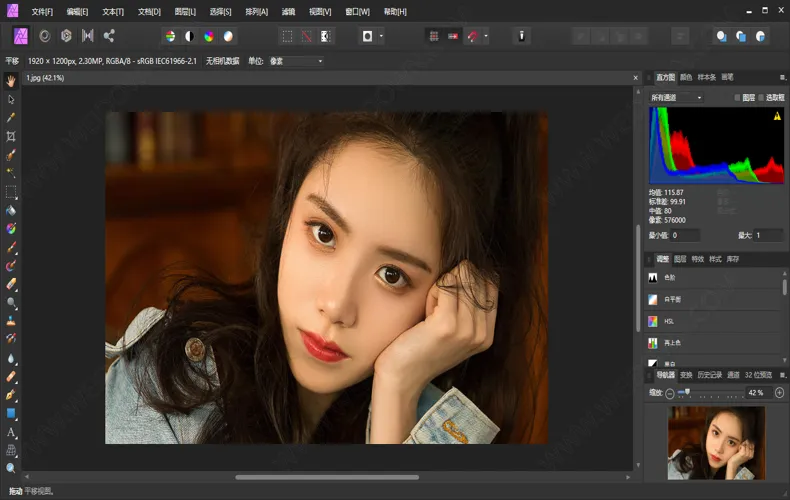 Affinity Designer2 v2.6.2.3228绿色版-网亿资源平台