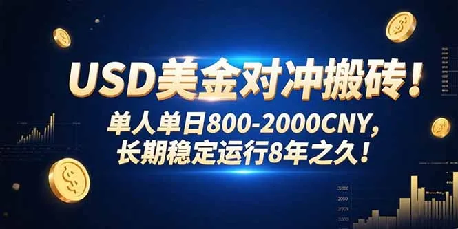USD美金对冲搬砖!单人单日800-2000CNY，长期稳定运行8年之久!-网亿资源平台