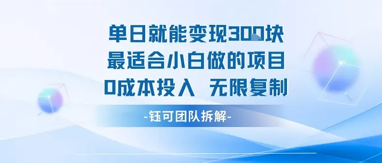 单日就能变现3张最适合小白做的项目0成本投入 无限复制-网亿资源平台