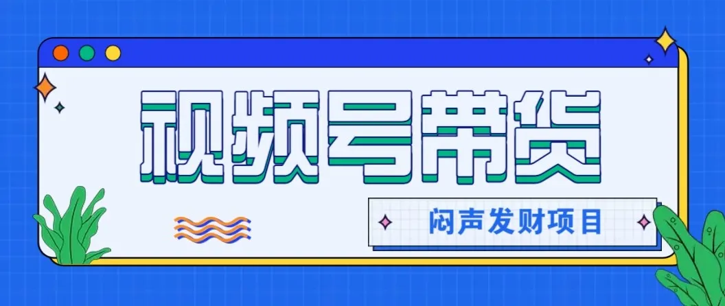 微信视频号带货项目,轻松日赚赚2000+,这个挣钱入口很多伙伴都在闷声发财-网亿资源平台