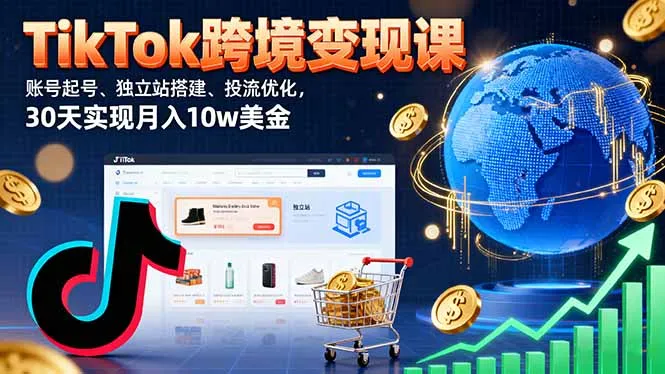 TikTok跨境变现课：账号起号、独立站搭建、投流优化，30天实现月入10w美金-网亿资源平台