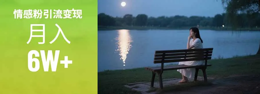 情感粉引流变现实操课：单月变现6w+，情感粉引流变现实操课-网亿资源平台