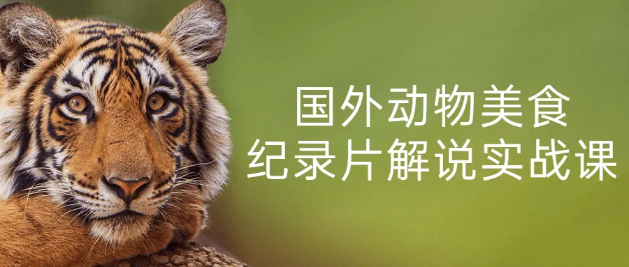 国外动物美食纪录片解说实战课-网亿资源平台