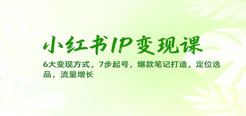 小红书IP变现课：6大变现方式，7步起号，爆款笔记打造，定位选品，流量增长-网亿资源平台