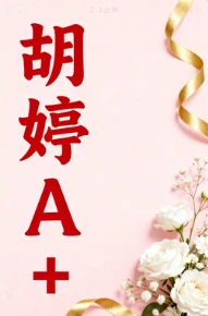 3.胡婷A+-网亿资源平台