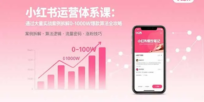 小红书运营体系课：通过大量实战案例拆解0-1000W爆款算法全攻略-网亿资源平台