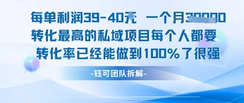 每单利润40一个月7k+转化最高的私域项目，每个人都要的产品转化率已经能做到100%-网亿资源平台