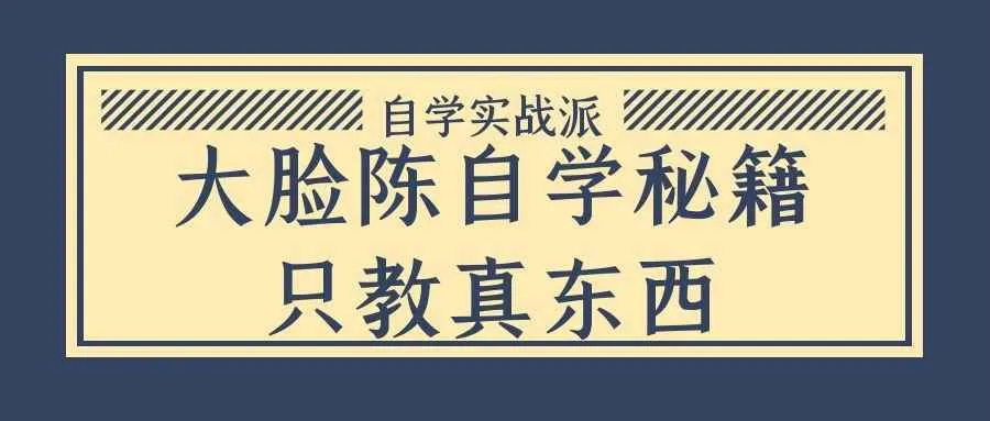 大脸陈自学秘籍只教真东西-网亿资源平台