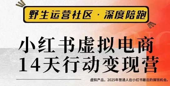 小红书虚拟电商14天变现训练营3.0，​虚拟产品，2025年普通人在小红书最后的搞钱机会-网亿资源平台