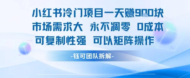 小红书冷门项目一天收益9张，市场需求大，0成本，可复制性强可以矩阵操作-网亿资源平台