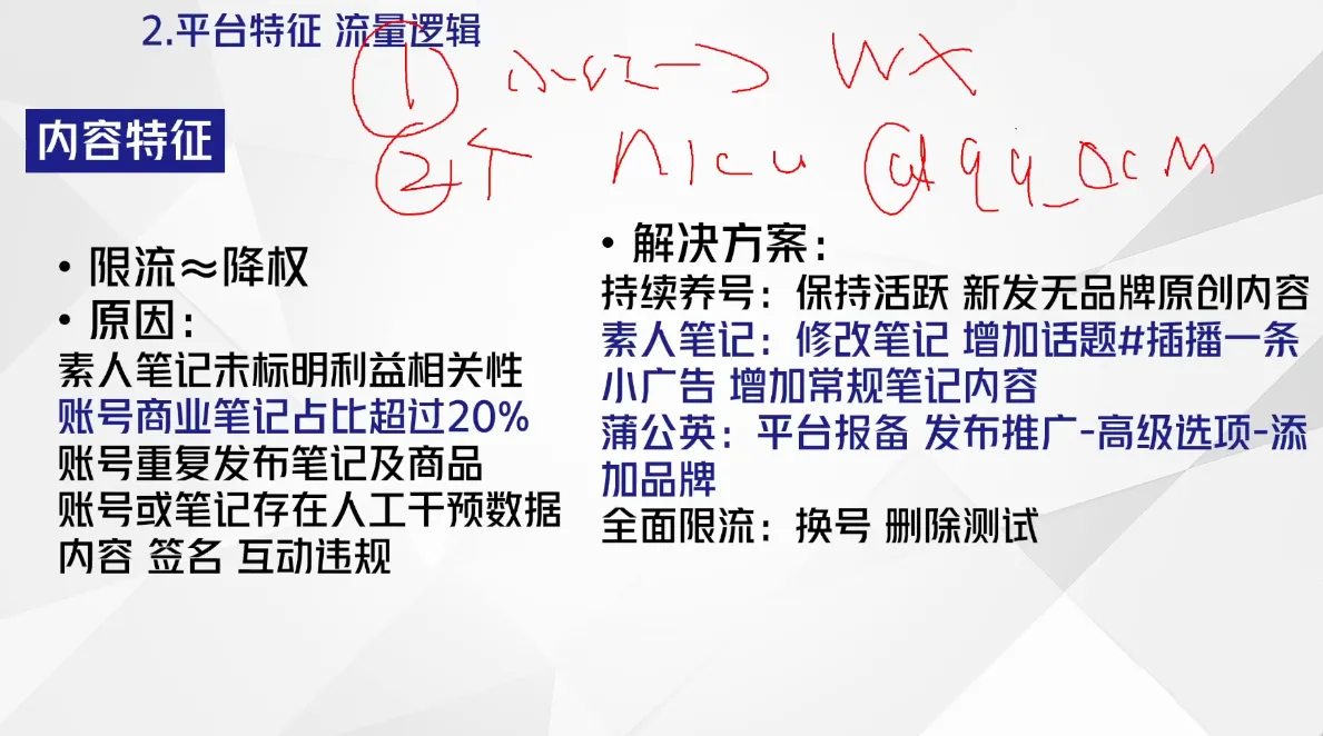 尼采老师·小红书爆单系列课-网亿资源平台