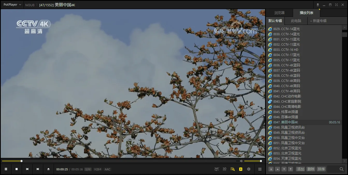 PotPlayer v1.7.22777绿色版-网亿资源平台