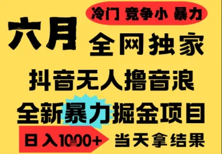25年6月高爆抖音无人直播最新撸音浪掘金项目，小白可做，无脑日入1k+，门槛低可批量矩阵【揭秘】-网亿资源平台