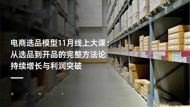 电商选品模型11月线上大课：从选品到开品的完整方法论 持续增长与利润突破-网亿资源平台