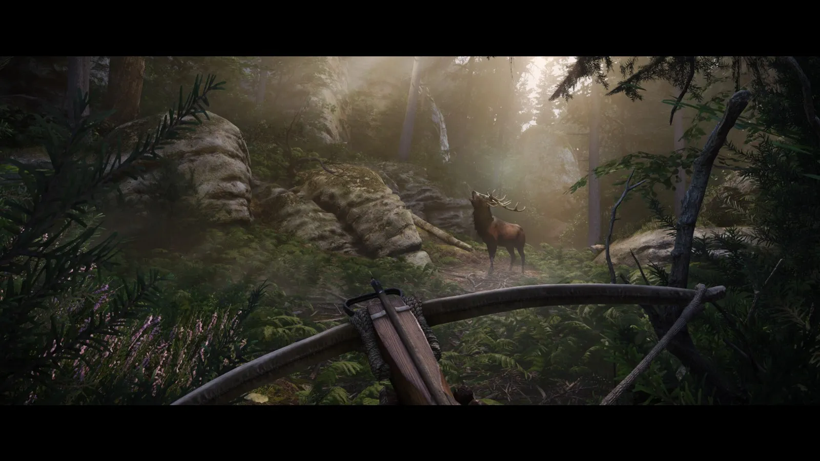 《天国：拯救2》v1.3中文版-网亿资源平台