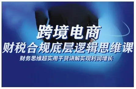 跨境电商财稅合规底层逻辑思维课，财务思维超实用于货讲解实现利润增长-网亿资源平台