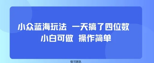 小众蓝海玩法 一天搞了四位数 小白可做 操作简单-网亿资源平台