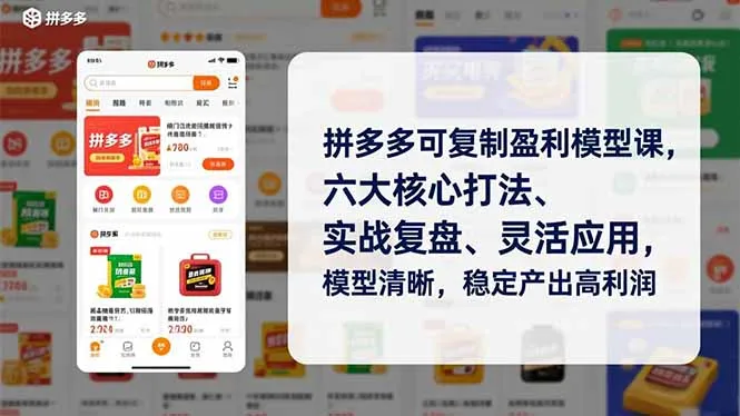 拼多多可复制盈利模型课，六大核心打法、实战复盘、灵活应用，模型清晰，稳定产出高利润-网亿资源平台