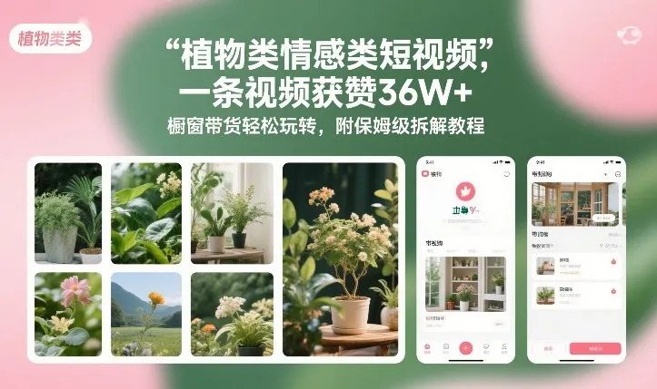 植物类情感类短视频，一条视频获赞36W+，橱窗带货轻松玩转，附保姆级拆解教程-网亿资源平台
