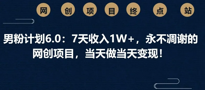 男粉计划6.0：7天收入1W+，永不凋谢的网创项目，当天做当天变现！-网亿资源平台