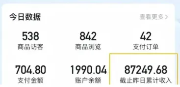 2026新手也能操作的带货玩法，用这个方法零门槛，轻松月入10000+-网亿资源平台