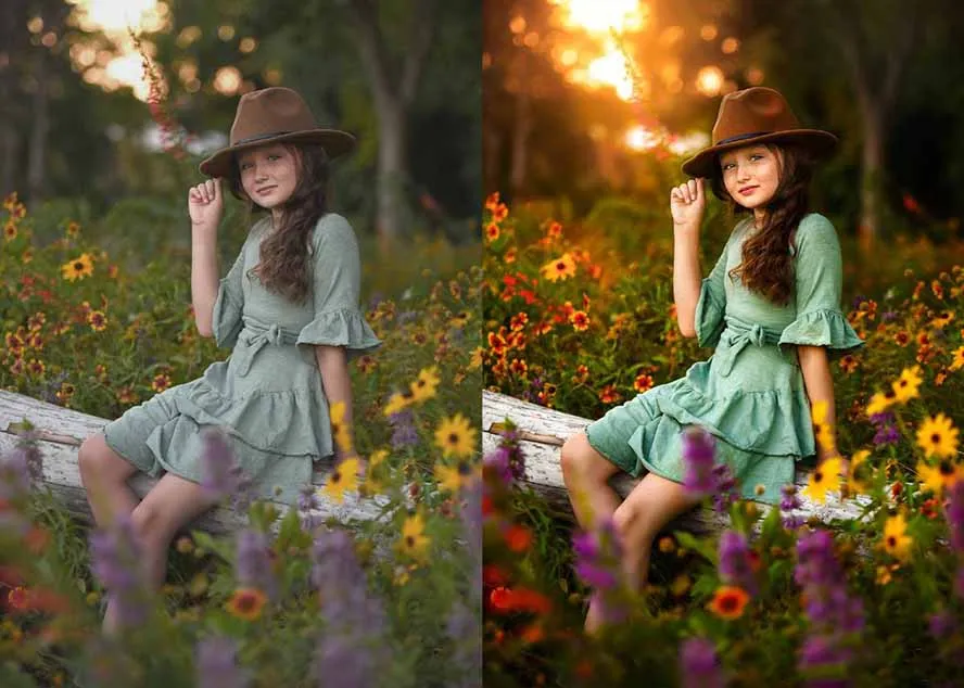 大师级GTG出品-老友记系列AI自适应预设The Friends Preset Collection-网亿资源平台