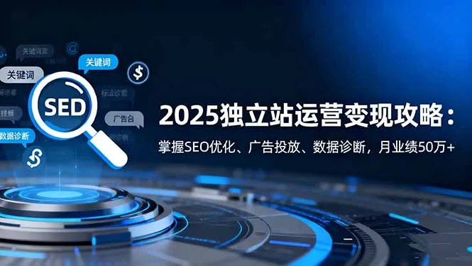 2025独立站运营变现攻略：掌握SEO优化、广告投放、数据诊断，月业绩50万+-网亿资源平台