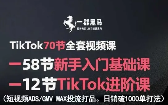 TikTok全套视频课，新手入门+进阶课，短视频ADS-GMV MAX投流打品，日销破1000单打法-网亿资源平台