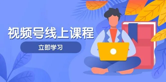 视频号实战课程，轻IP打造与运营技巧，掌握核心方法与策略-网亿资源平台