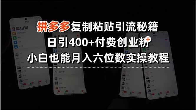 拼多多复制粘贴引流秘籍，日引400+付费创业粉，小白也能月入六位数实操…-网亿资源平台