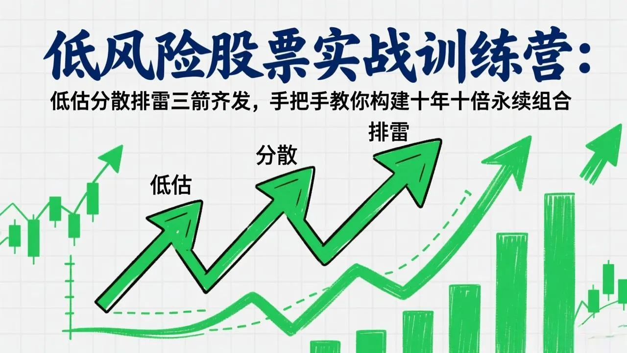 低风险股票实战训练营：低估分散排雷三箭齐发，手把手教你构建十年十倍永续组合-网亿资源平台