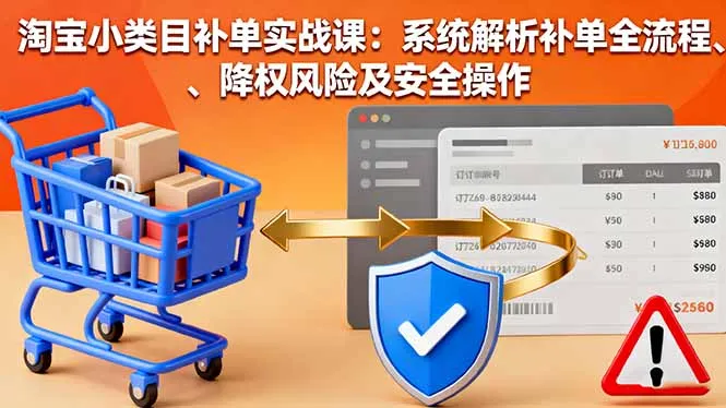 淘宝小类目补单实战课：系统解析补单全流程、降权风险及安全操作-网亿资源平台