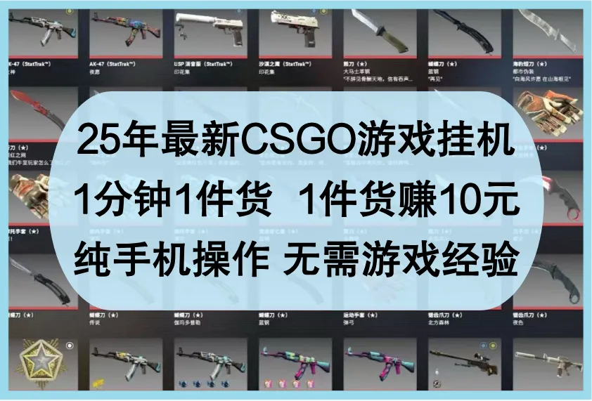 25年最新CSGO游戏挂机，1分钟1件货，1件货赚10元，纯手机操作，无需游戏经验-网亿资源平台